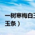 一树寒梅白玉条着重写出了什么（一树寒梅白玉条）
