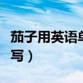 茄子用英语单词怎么写（茄子的英语单词怎么写）