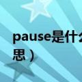 pause是什么意思啊（pausebreak是什么意思）