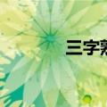 三字熟语的成语（三字熟语）