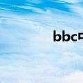 bbc中文新闻网（bbc中文）
