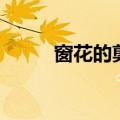 窗花的剪法难度大（窗花的剪法）