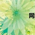 网线 价钱（网线价钱）