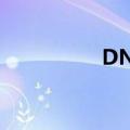 DNF开罐子（dnf开罐）