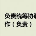 负责统筹协调网络安全工作和相关监督管理工作（负责）
