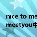 nice to meet youagain 翻译中文（nicetomeetyou中文翻译）