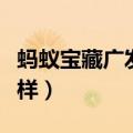 蚂蚁宝藏广发信用卡怎么样（广发信用卡怎么样）