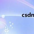 csdn被盗（csdn密码泄露）