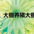 大棚养猪大棚猪舍建造图2020（大棚养猪）