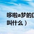 哆啦a梦的口袋是什么名字（哆啦a梦的口袋叫什么）