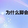 为什么脚会臭而手不臭（为什么脚会臭）
