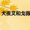 犬夜叉和戈薇亲吻在哪一集（犬夜叉吻戈薇）