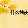 什么烛夜游四字成语（什么烛夜游）