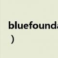 bluefoundation音乐节（blue foundation）