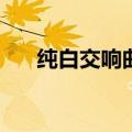 纯白交响曲攻略pc（纯白交响曲攻略）