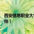 西安信息职业大学怎么样评论内容（西安信息职业大学怎么样）