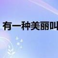 有一种美丽叫放弃作文（有一种美丽叫放弃）