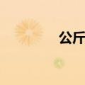 公斤换算成斤（公斤换算）