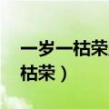 一岁一枯荣野火烧不尽（离离原上草 一岁一枯荣）