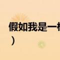 假如我是一棵树300字作文（假如我是一棵树）