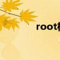 root权限获取（st25i root）
