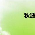 秋波媚什么意思（秋波媚）