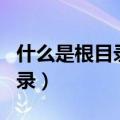 什么是根目录一般指哪个文件夹（什么是根目录）
