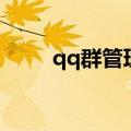 qq群管理（北京一夜晴交友qq群）