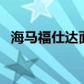 海马福仕达面包车轮胎型号（海马福仕达）