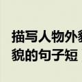 描写人物外貌的句子短句100字（描写人物外貌的句子短）