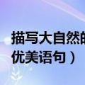 描写大自然的优美语句二年级（描写大自然的优美语句）