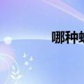 哪种蜂蜜好喝（哪种蜂蜜好）
