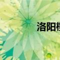 洛阳樱桃沟村（洛阳樱桃沟）
