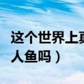 这个世界上真的有美人鱼吗（世界上真的有美人鱼吗）