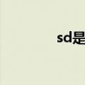 sd是什么软件（sd是什么）