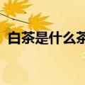 白茶是什么茶?有哪些品种（白茶是什么茶）