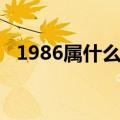 1986属什么生肖五行属性（1986属什么）