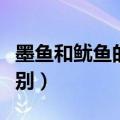 墨鱼和鱿鱼的区别图片说明（墨鱼和鱿鱼的区别）