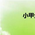 小甲鱼c语言官网（小甲鱼）