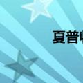 夏普收购nec（夏普被收购）