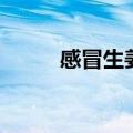 感冒生姜茶的做法（姜茶的做法）