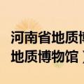 河南省地质博物馆和自然博物馆一样吗（河南地质博物馆）