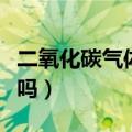 二氧化碳气体是电解质吗（二氧化碳是电解质吗）