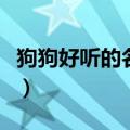 狗狗好听的名字公狗（狗狗时髦好听的名字公）