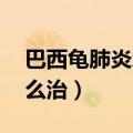 巴西龟肺炎怎么治5CM小龟（巴西龟肺炎怎么治）