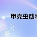 甲壳虫动物图片和介绍（甲壳虫动物）