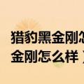 猎豹黑金刚怎么样猎豹黑金刚好不好（猎豹黑金刚怎么样）