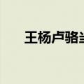 王杨卢骆当时体全诗意思（王杨卢骆）