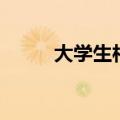 大学生村官怎么考（村官怎么考）