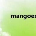 mangoes什么意思（goes什么意思）